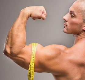 Muscle Mass
